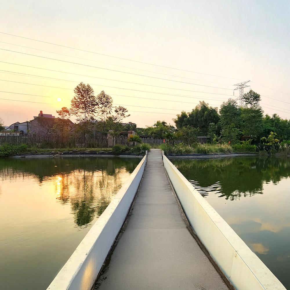 main image things to do